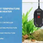 Should I Leave Betta Fish Heater on All the Time