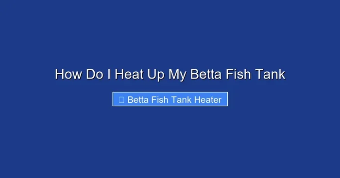 How Do I Heat Up My Betta Fish Tank
