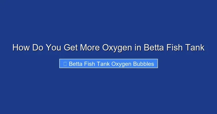 How Do You Get More Oxygen in Betta Fish Tank