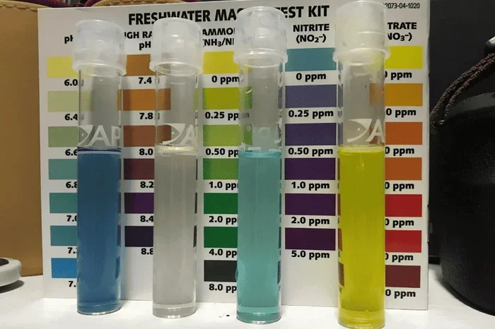 How to Balance Ph in Fish Tank Betta