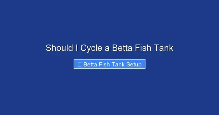 Should I Cycle a Betta Fish Tank