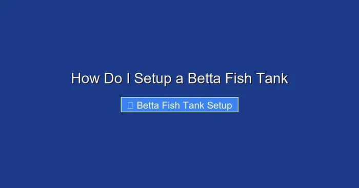 How Do I Setup a Betta Fish Tank