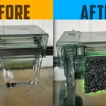 How Much Watrflow for a Betta Fish