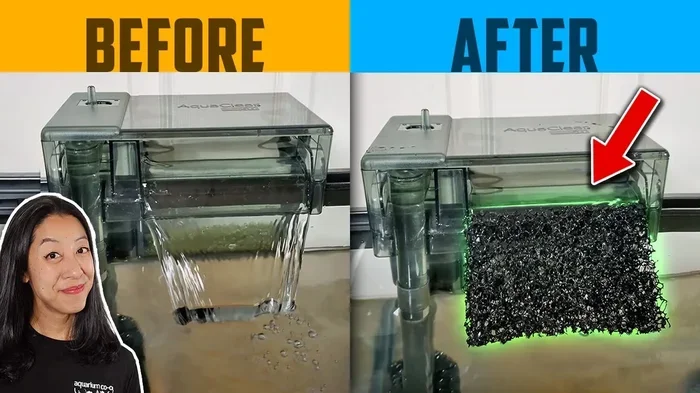 How Much Watrflow for a Betta Fish