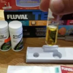 Is Ammonia Level in a Betta Fish Tank Bad