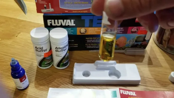 Is Ammonia Level in a Betta Fish Tank Bad