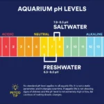 What Ammonia Nh3 to Nh4 Ratiol for Betta Fish Tank