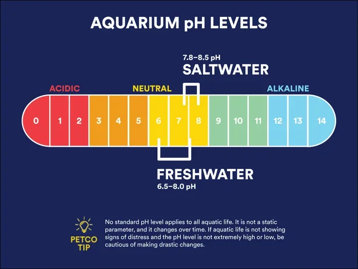 What Ammonia Nh3 to Nh4 Ratiol for Betta Fish Tank