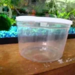 How to Move a Betta Fish Cross Country