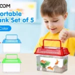 How to Travel with My Betta Fish