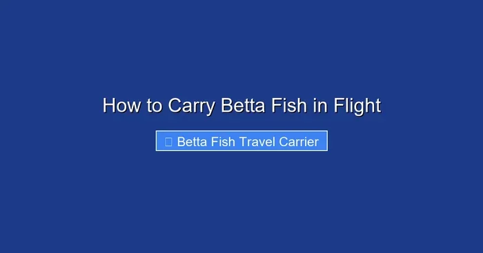 How to Carry Betta Fish in Flight