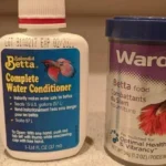 Is It Safe to Use a Non Betta Fish Conditioner