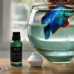 Can You Use Sink Water for Betta Fish and Keep Them Safe