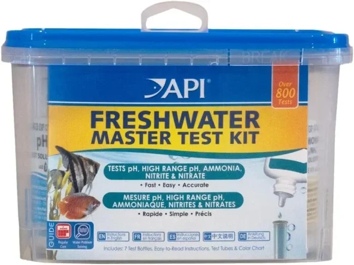 How to Test My Betta Fish Tank Water