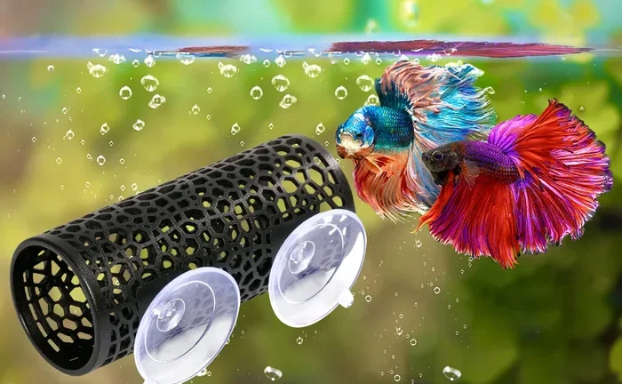 How to but a New Toy.in Betta Fish