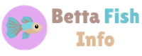 bettafishinfo