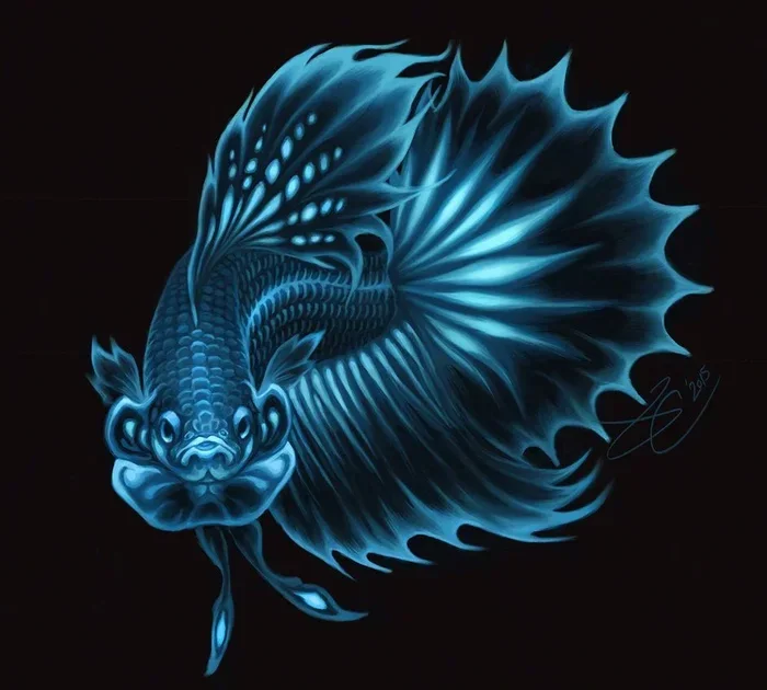 Do Betta Fish Glow in the Dark