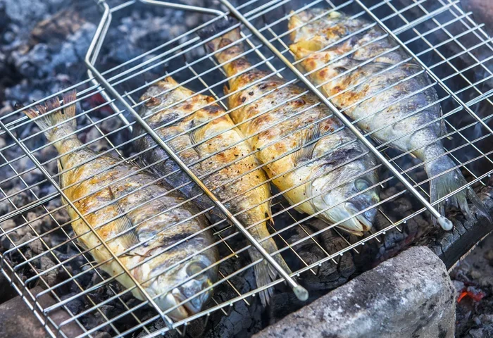 Is Fish Better Broiled or Grilled