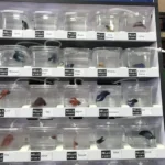 How to Pick a Betta Fish at a Pet Store