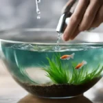 How Long to Clean Betta Fish Bowl