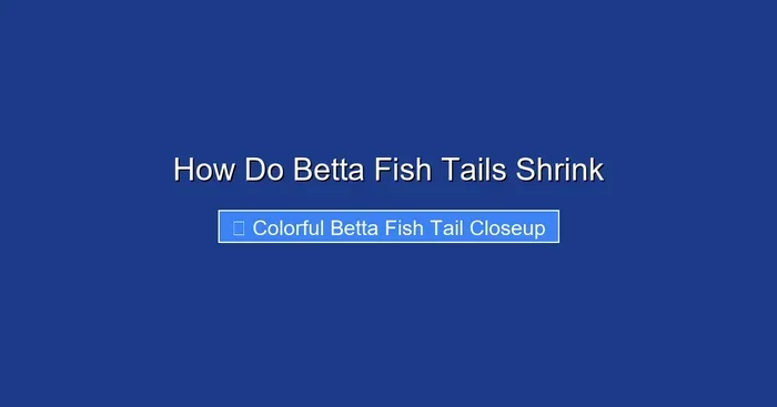 How Do Betta Fish Tails Shrink