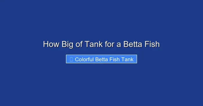 How Big of Tank for a Betta Fish