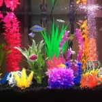 Is 75 Degrees Ok for Betta Fish