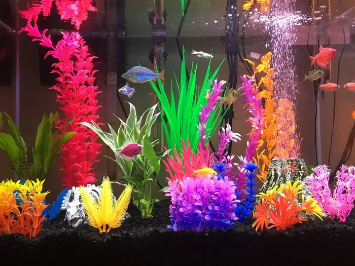Is 75 Degrees Ok for Betta Fish