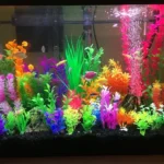 What Is Needed for a Betta Fish Tank