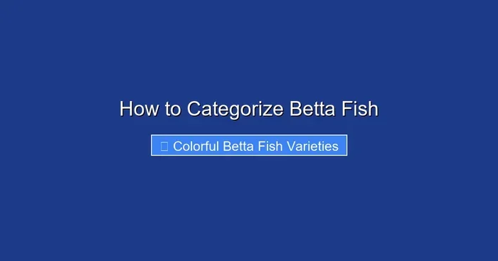 How to Categorize Betta Fish