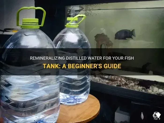 Is Distilled or Purified Water Better for Fish
