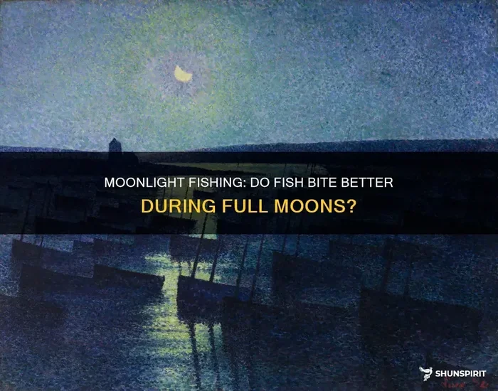 Do Fish Bite Better with a Full Moon