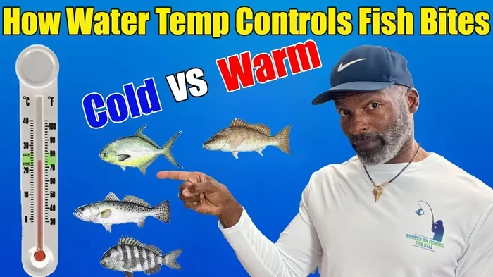 Do Fish Feed Better Before a Cool Front