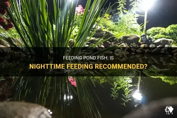 Do Fish Raised in Night Soil Grow Better