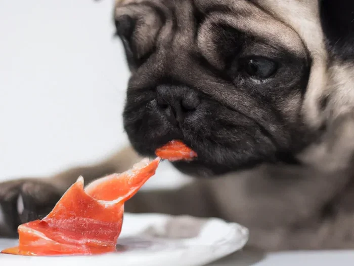 Is Beef or Fish Better for Dogs