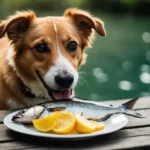 Is Betta Fish Food Poisonous to Dogs