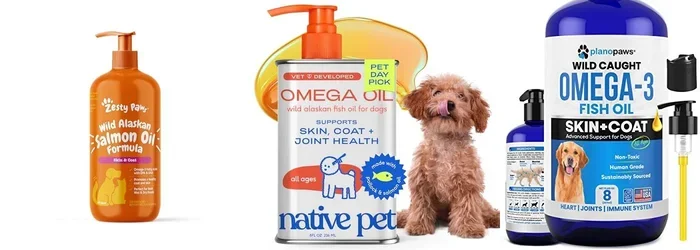 Is Coconut Oil or Fish Oil Better for Dogs