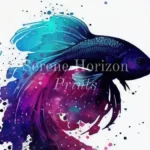Do Betta Fish Have Emotions