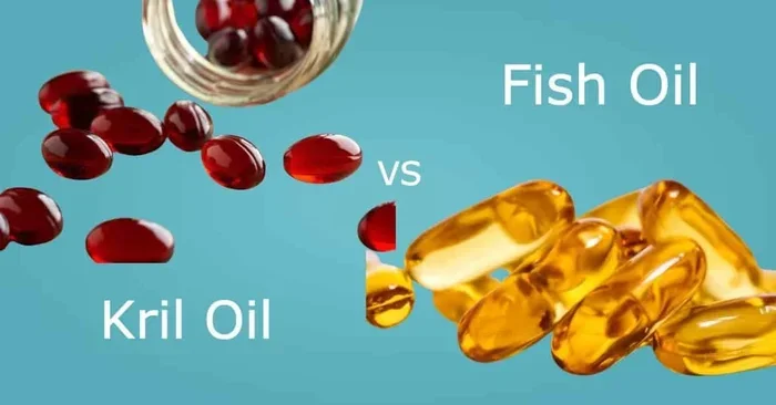 What Is Better Fish Oil Or Krill Oil For Your Health