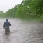 Is It Better to Fish After Rain