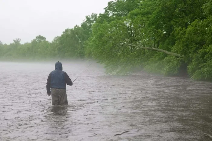 Is It Better to Fish After Rain