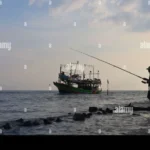 Is It Better to Fish During Low or High Tide