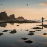 Is It Better to Fish Low Tide or High