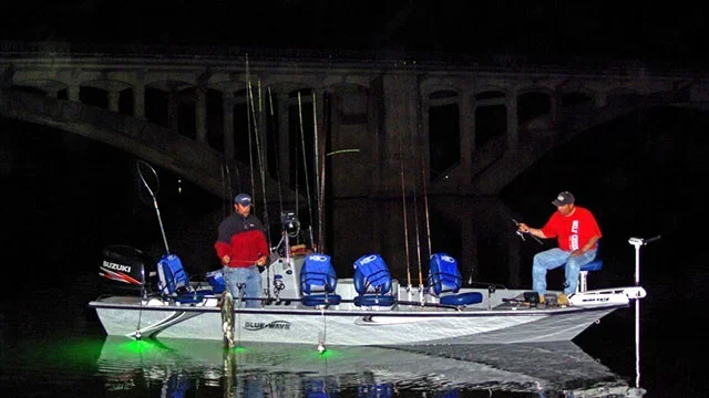 Is It Better to Fish at Night or Day