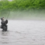 Is It Better to Fish in the Rain or Sun