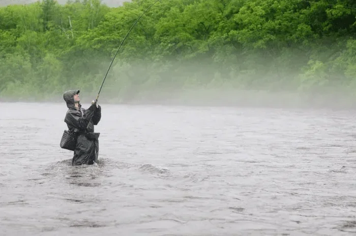 Is It Better to Fish in the Rain or Sun