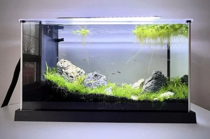 Is a Fluval Spec V Good for Betta Fish