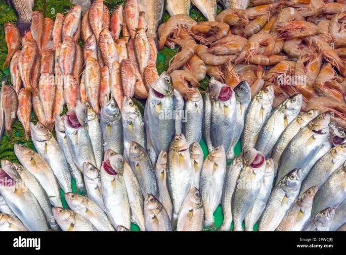 Is Fish Better Than Turkey