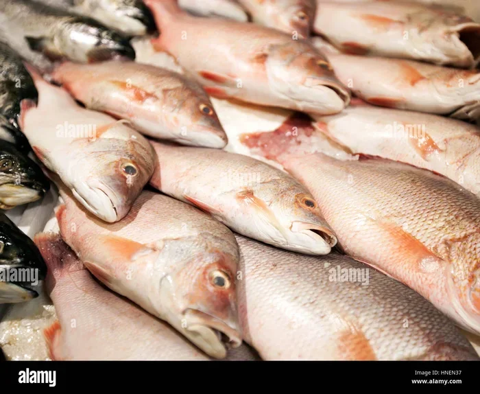 Is.it.better to Buy Farm Raised Fish or Wild Caught