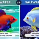 Is Fresh Water Fish Better Than Saltwater